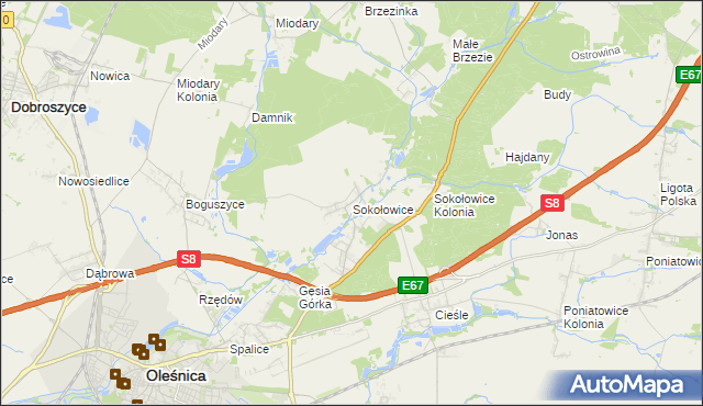 mapa Sokołowice gmina Oleśnica, Sokołowice gmina Oleśnica na mapie Targeo