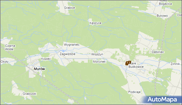 mapa Wojszyn gmina Murów, Wojszyn gmina Murów na mapie Targeo