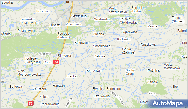 mapa Zabrnie gmina Szczucin, Zabrnie gmina Szczucin na mapie Targeo