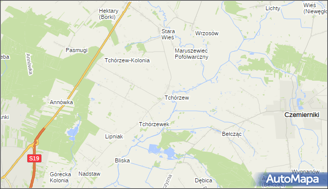 mapa Tchórzew gmina Borki, Tchórzew gmina Borki na mapie Targeo
