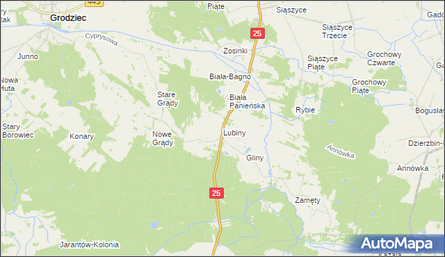 mapa Lubiny gmina Rychwał, Lubiny gmina Rychwał na mapie Targeo