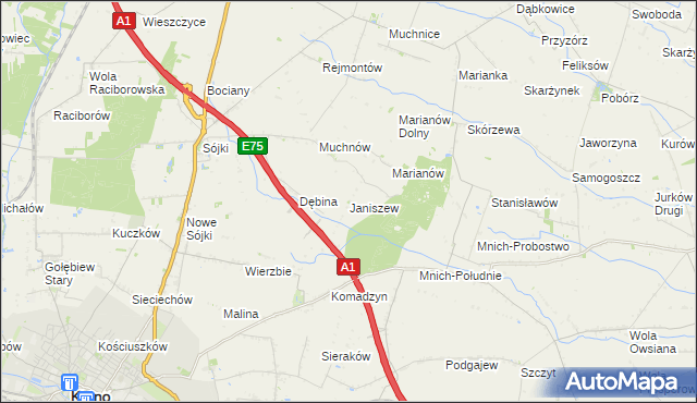 mapa Janiszew gmina Strzelce, Janiszew gmina Strzelce na mapie Targeo