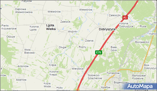 mapa Rożny, Rożny na mapie Targeo