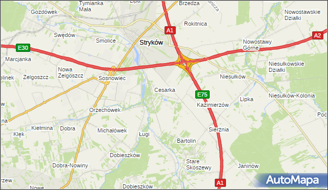 mapa Warszewice gmina Stryków, Warszewice gmina Stryków na mapie Targeo