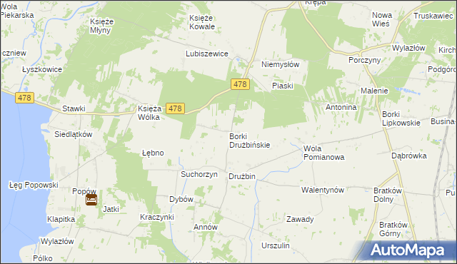mapa Borki Drużbińskie, Borki Drużbińskie na mapie Targeo