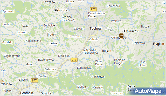 mapa Dąbrówka Tuchowska, Dąbrówka Tuchowska na mapie Targeo
