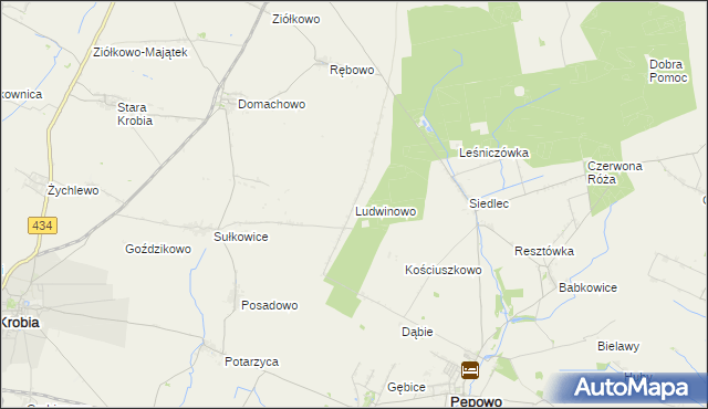mapa Ludwinowo gmina Pępowo, Ludwinowo gmina Pępowo na mapie Targeo