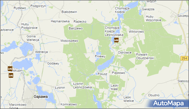 mapa Pniewy gmina Gąsawa, Pniewy gmina Gąsawa na mapie Targeo