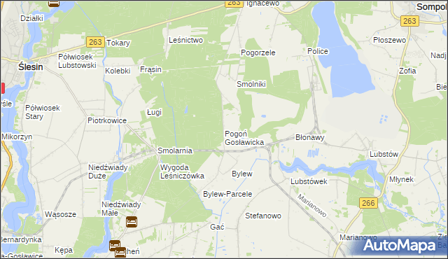 mapa Pogoń Gosławicka, Pogoń Gosławicka na mapie Targeo