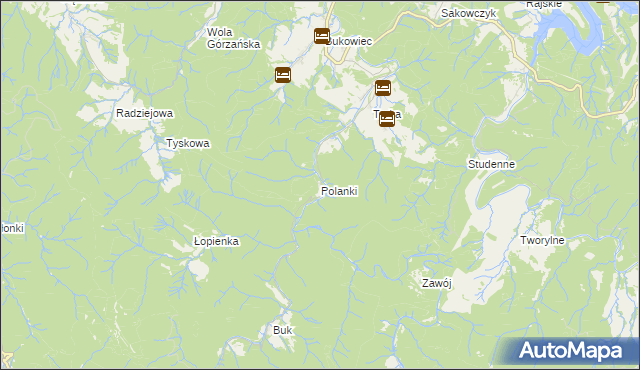 mapa Polanki gmina Solina, Polanki gmina Solina na mapie Targeo