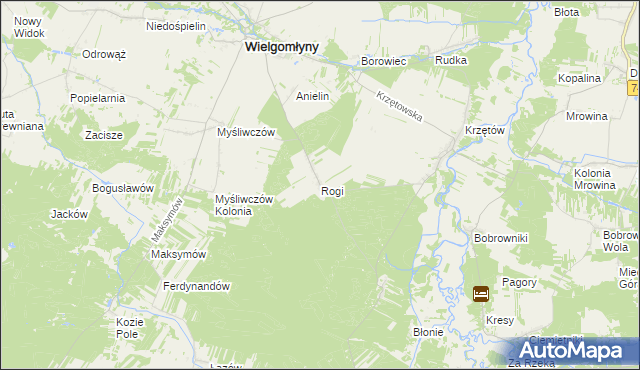 mapa Rogi gmina Wielgomłyny, Rogi gmina Wielgomłyny na mapie Targeo