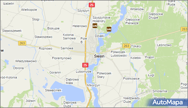 mapa Ślesin powiat koniński, Ślesin powiat koniński na mapie Targeo