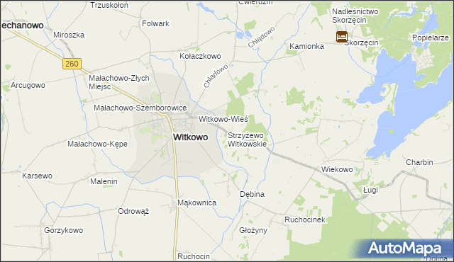 mapa Strzyżewo Witkowskie, Strzyżewo Witkowskie na mapie Targeo