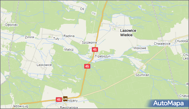 mapa Trzebiszyn gmina Lasowice Wielkie, Trzebiszyn gmina Lasowice Wielkie na mapie Targeo