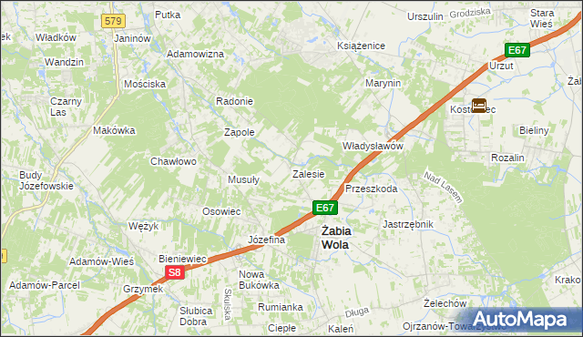 mapa Zalesie gmina Żabia Wola, Zalesie gmina Żabia Wola na mapie Targeo