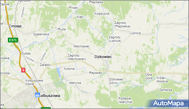 mapa Dzikowiec powiat kolbuszowski, Dzikowiec powiat kolbuszowski na mapie Targeo