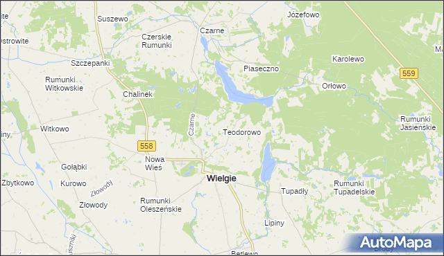 mapa Teodorowo gmina Wielgie, Teodorowo gmina Wielgie na mapie Targeo