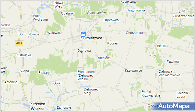 mapa Anielów gmina Sulmierzyce, Anielów gmina Sulmierzyce na mapie Targeo