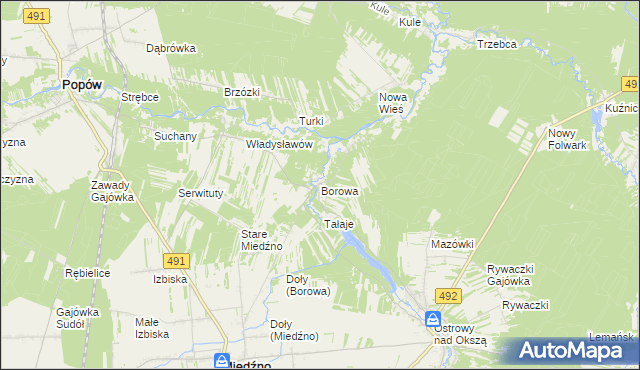 mapa Borowa gmina Miedźno, Borowa gmina Miedźno na mapie Targeo