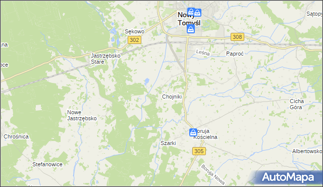 mapa Chojniki gmina Nowy Tomyśl, Chojniki gmina Nowy Tomyśl na mapie Targeo