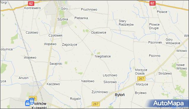 mapa Niegibalice, Niegibalice na mapie Targeo