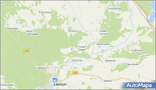 mapa Nowe Dąbie, Nowe Dąbie na mapie Targeo