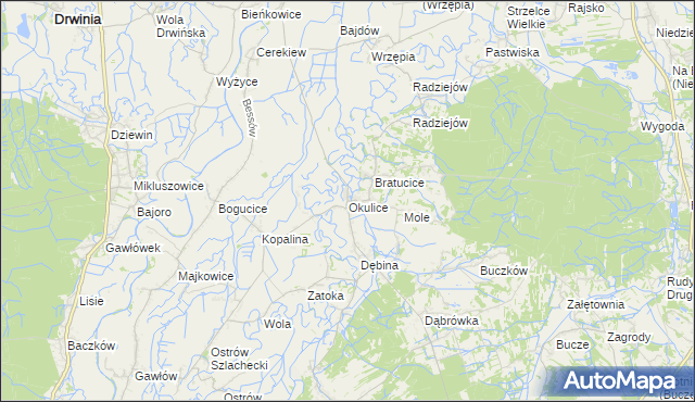 mapa Okulice gmina Rzezawa, Okulice gmina Rzezawa na mapie Targeo