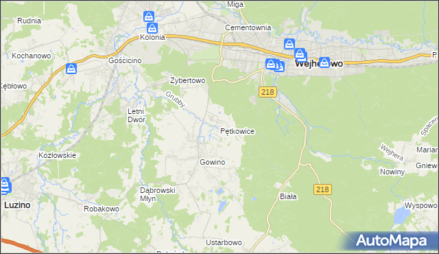mapa Pętkowice gmina Wejherowo, Pętkowice gmina Wejherowo na mapie Targeo