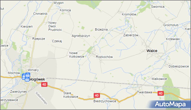 mapa Rozkochów gmina Walce, Rozkochów gmina Walce na mapie Targeo