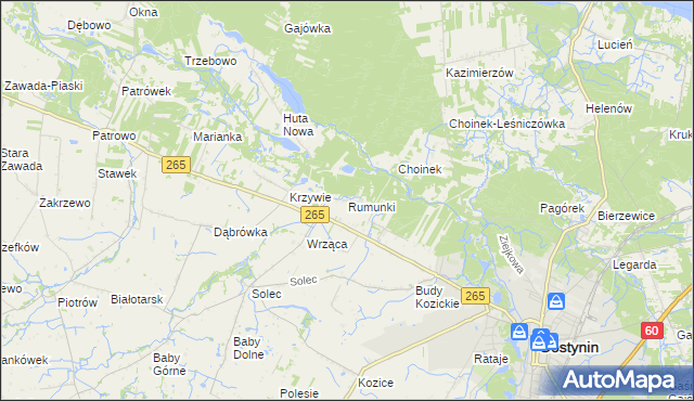 mapa Rumunki gmina Gostynin, Rumunki gmina Gostynin na mapie Targeo