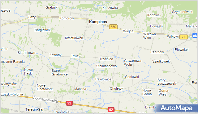 mapa Trzciniec gmina Leszno, Trzciniec gmina Leszno na mapie Targeo