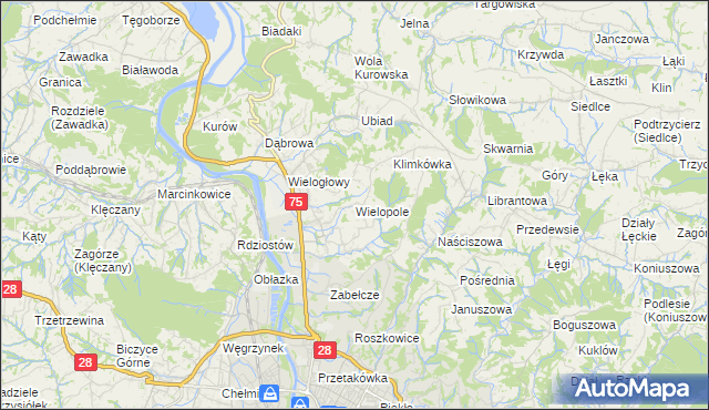 mapa Wielopole gmina Chełmiec, Wielopole gmina Chełmiec na mapie Targeo