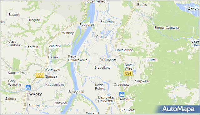 mapa Witkowice gmina Radomyśl nad Sanem, Witkowice gmina Radomyśl nad Sanem na mapie Targeo