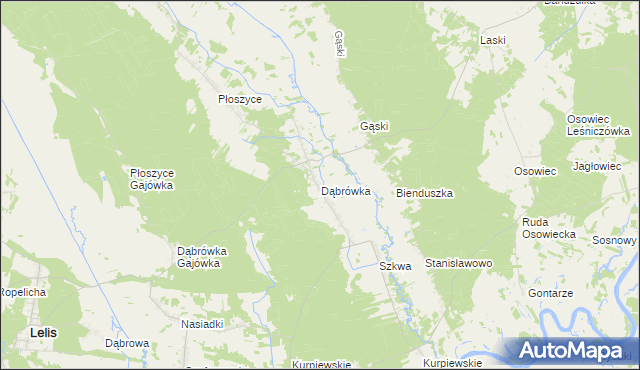 mapa Dąbrówka gmina Lelis, Dąbrówka gmina Lelis na mapie Targeo