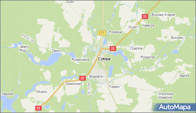 mapa Człopa, Człopa na mapie Targeo