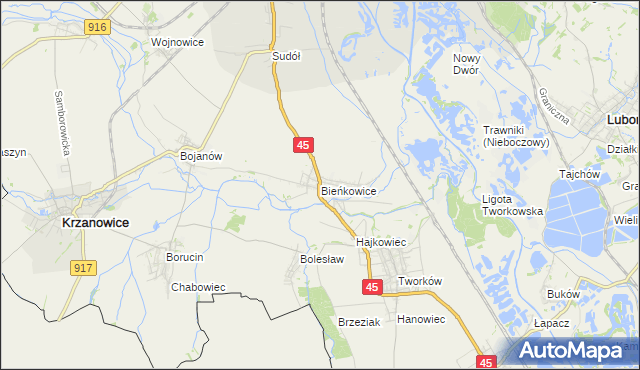 mapa Bieńkowice gmina Krzyżanowice, Bieńkowice gmina Krzyżanowice na mapie Targeo