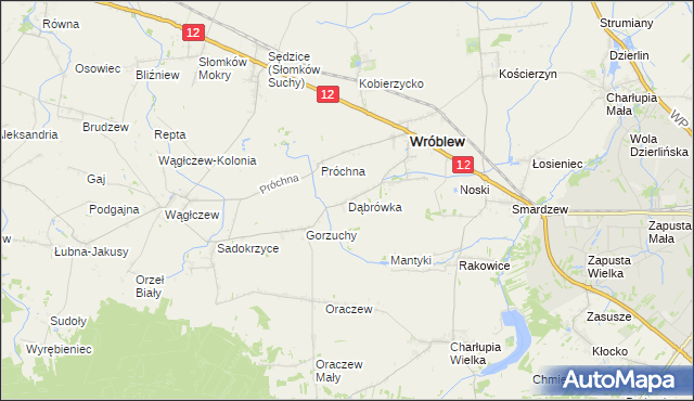 mapa Dąbrówka gmina Wróblew, Dąbrówka gmina Wróblew na mapie Targeo