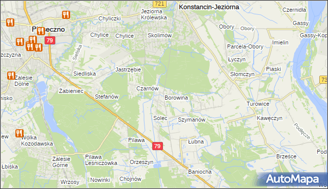 mapa Borowina gmina Konstancin-Jeziorna, Borowina gmina Konstancin-Jeziorna na mapie Targeo