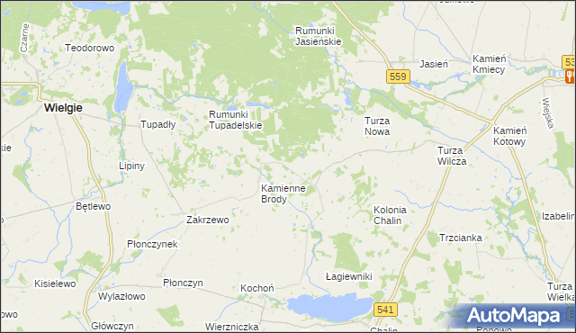 mapa Borowo gmina Tłuchowo, Borowo gmina Tłuchowo na mapie Targeo