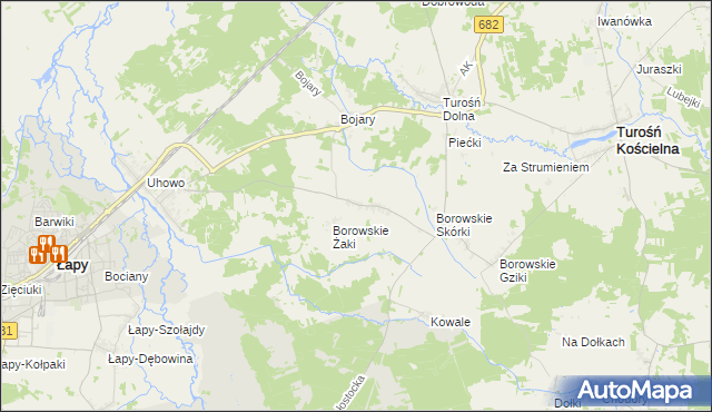 mapa Borowskie Cibory, Borowskie Cibory na mapie Targeo
