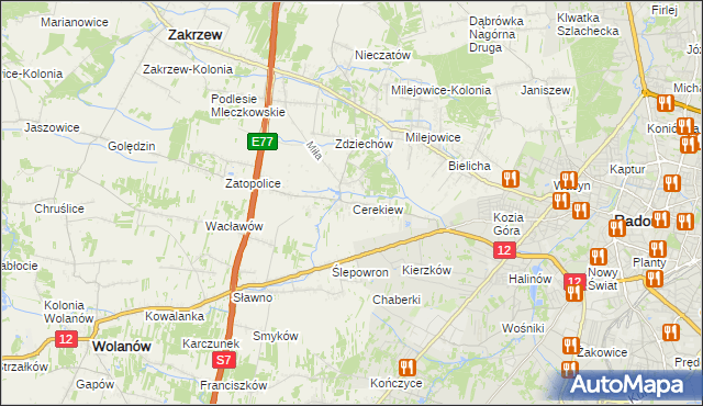 mapa Cerekiew gmina Zakrzew, Cerekiew gmina Zakrzew na mapie Targeo