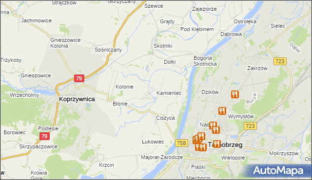 mapa Kamieniec gmina Koprzywnica, Kamieniec gmina Koprzywnica na mapie Targeo