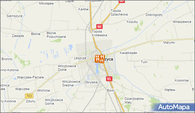 mapa Łęczyca, Łęczyca na mapie Targeo