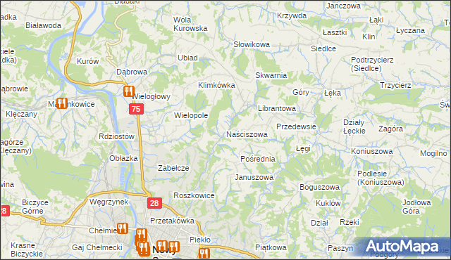 mapa Naściszowa, Naściszowa na mapie Targeo