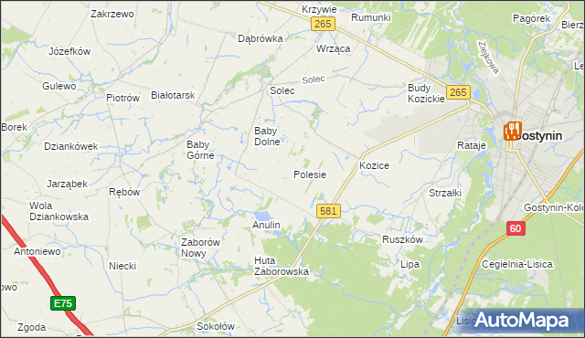 mapa Polesie gmina Gostynin, Polesie gmina Gostynin na mapie Targeo