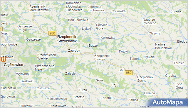 mapa Rzepiennik Biskupi, Rzepiennik Biskupi na mapie Targeo