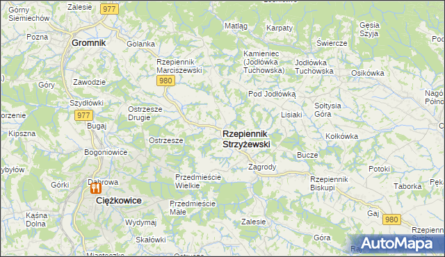 mapa Rzepiennik Strzyżewski, Rzepiennik Strzyżewski na mapie Targeo