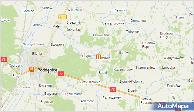 mapa Tarnowa gmina Poddębice, Tarnowa gmina Poddębice na mapie Targeo