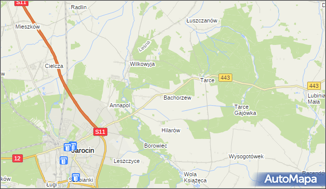 mapa Bachorzew, Bachorzew na mapie Targeo