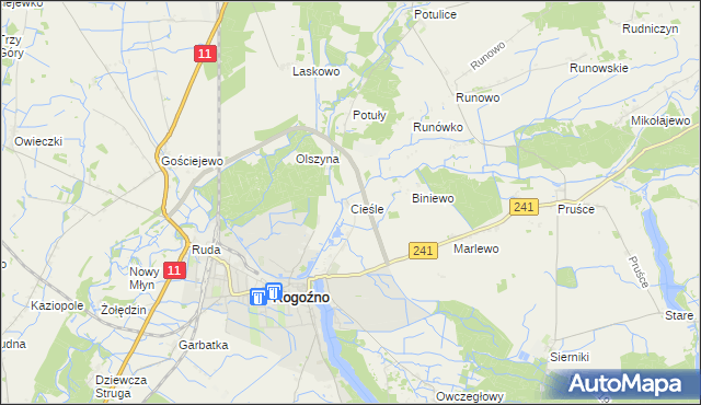 mapa Cieśle gmina Rogoźno, Cieśle gmina Rogoźno na mapie Targeo